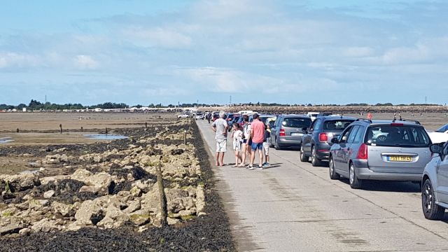 2019-07-31-noirmoutier-en-l-ile (22)