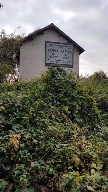 2019-11-17 - montceaux-les-meaux (07)