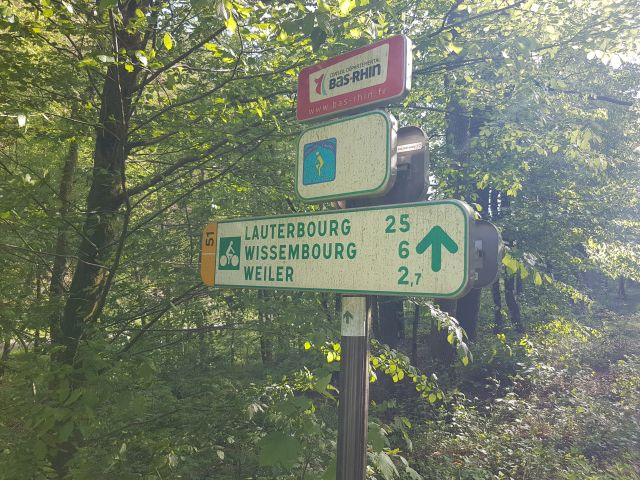 2019-05-10 - obersteinbach (21)