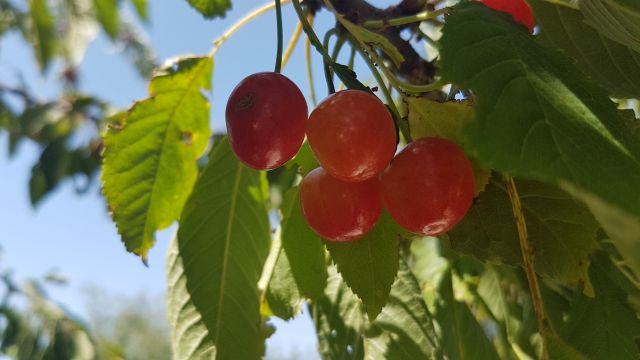 2019-06-29 - evry-courcouronnes (08)