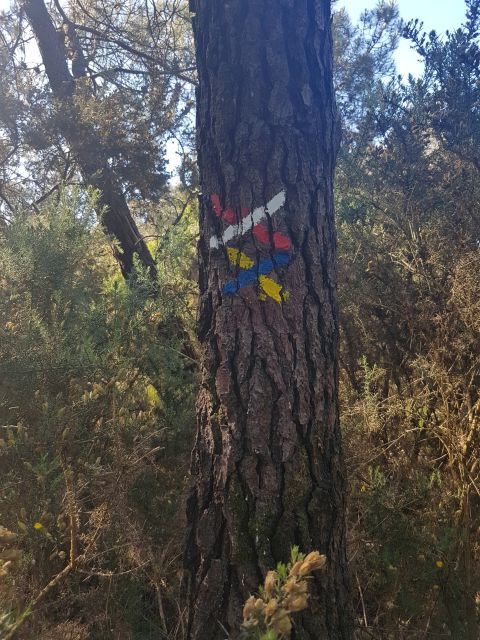 2019-06-01 - saint-nicolas-de-redon (03)