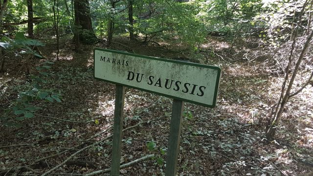 2019-08-31 - neuville-aux-bois (17)
