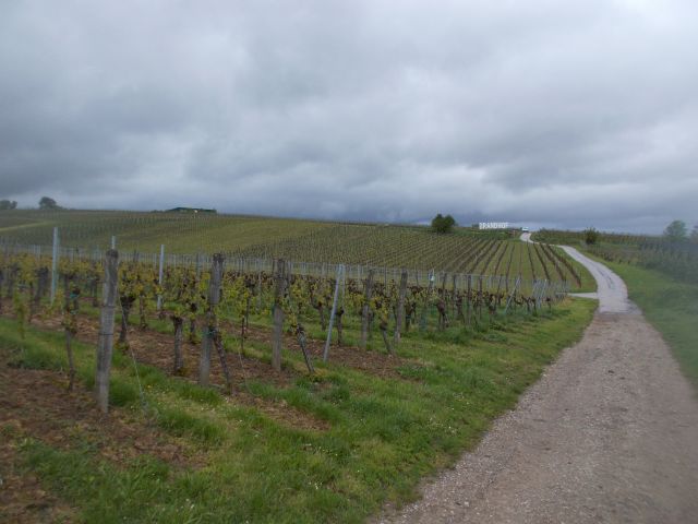 2019-05-11 - schoenenbourg (84)