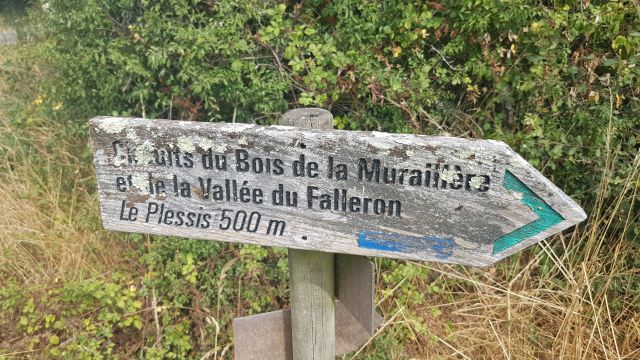 2019-07-21 - la garnache (10)