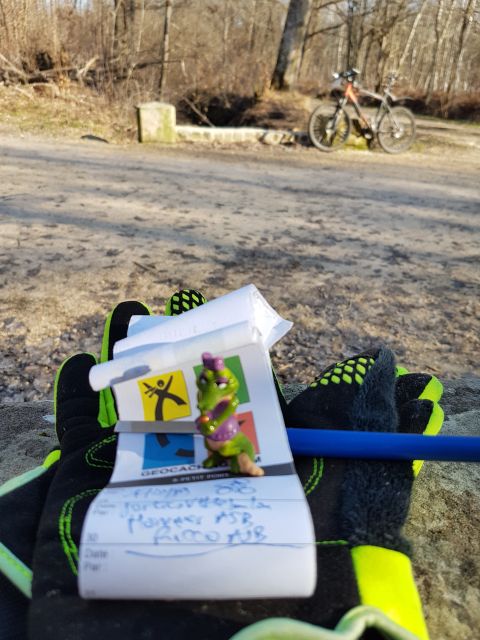 2019-02-17 - vert-saint-denis (07)
