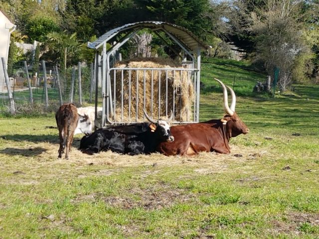 2019-03-31 - villiers-sur-orge (22)