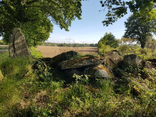 2019-05-31 saint-laurent-sur-oust (11)
