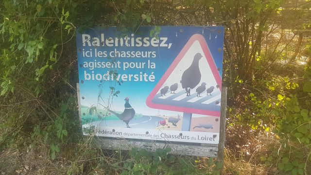 2019-08-31 - neuville-aux-bois (08)