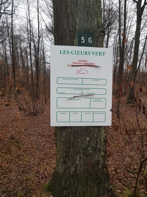 2019-02-10 - velizy-villacoublay (04)