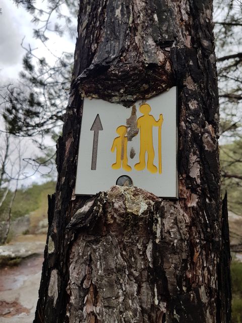 2019-03-17-fontainebleau (13)