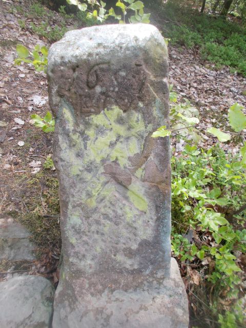 2019-05-10 - obersteinbach (53)