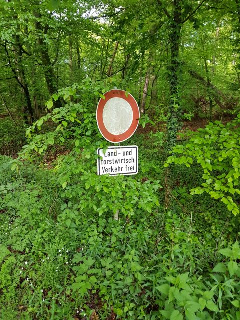 2019-05-11 - schoenenbourg (07)