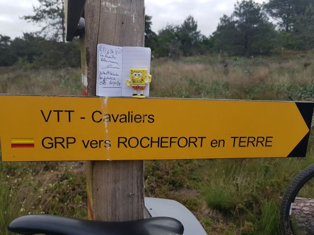 2019-05-30 - questembert (08)