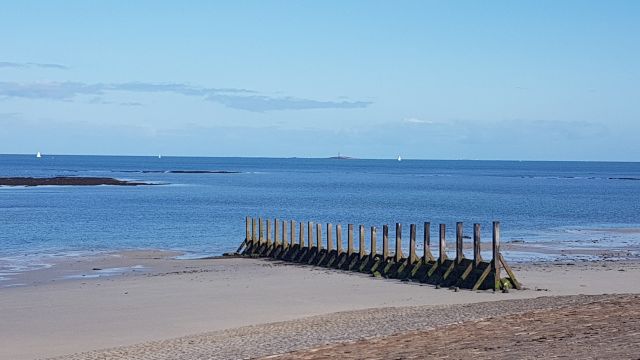 2019-07-31-noirmoutier-en-l-ile (14)