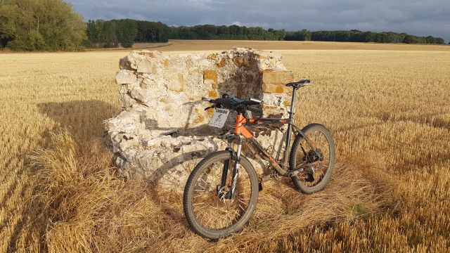 2019-08-15 - vallery (03)