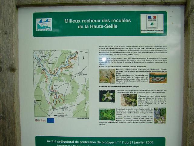 2010-05-13 - chateau-chalon (051)