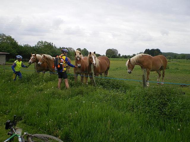 2010-05-14-charette-varenne (064)