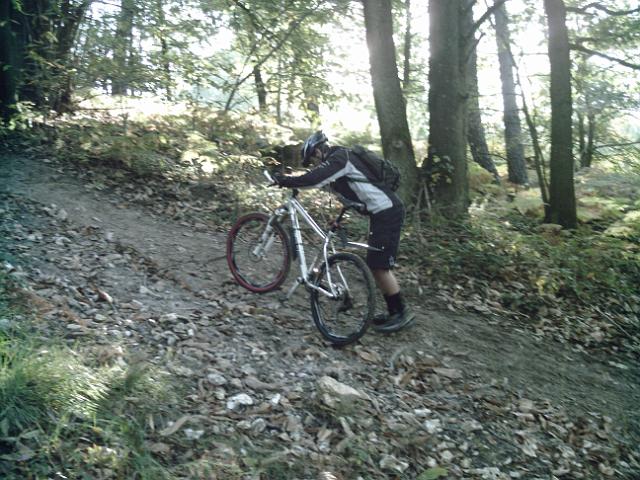 2010-10-03-chataignes (03)