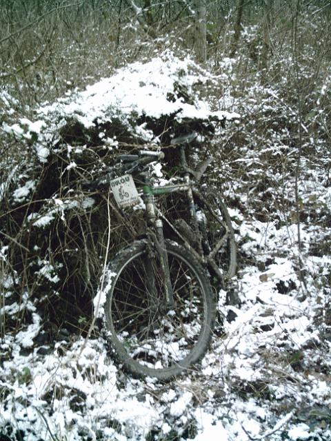 2010-11-28 - montegron (04)