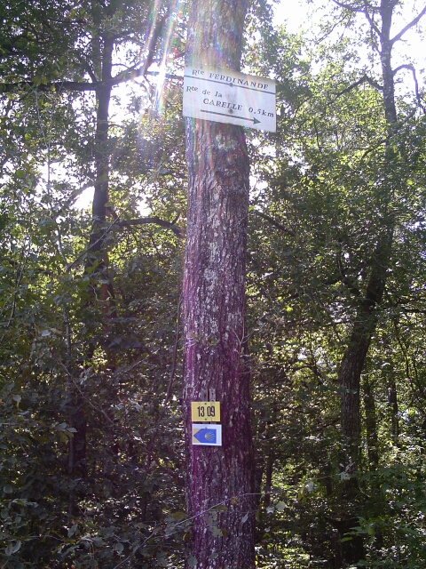 2016-09-03 - neuville-aux-bois_(04)