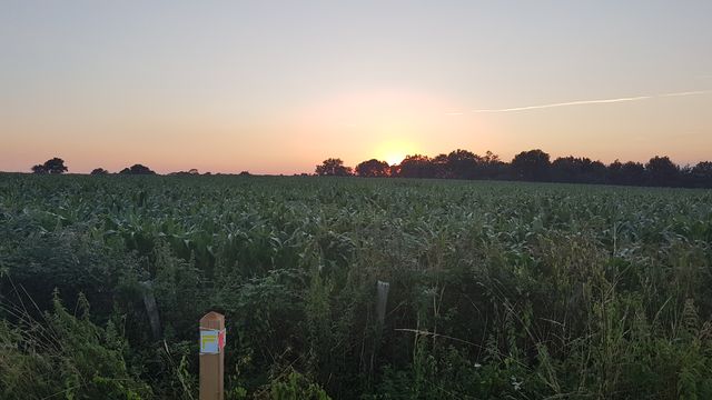 2018-07-07 - saint-lumine-de-coutais (06)