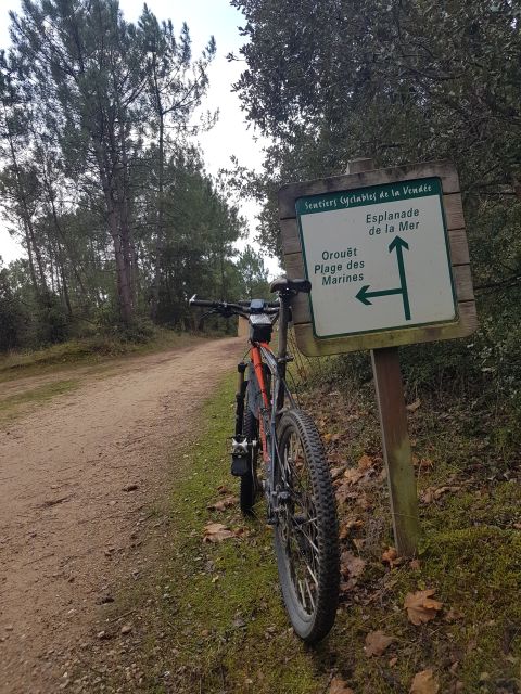 2020-11-03 - saint-jean-de-monts (01)