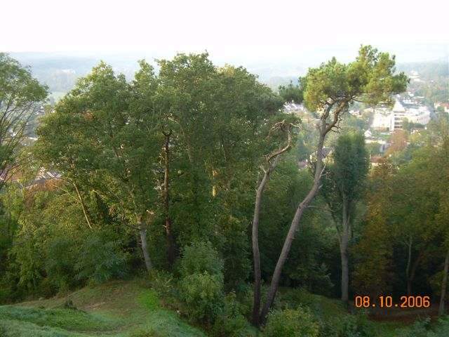 2006-10-08 - chioisel (19)