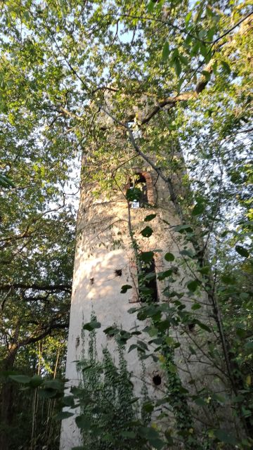 2022-08-28 - saint-viaud (07)