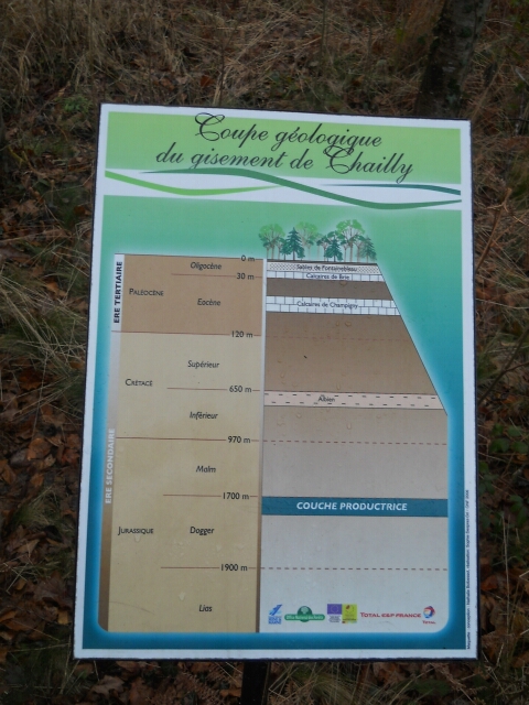 2015-02-08-dammarie-les-lys (04)