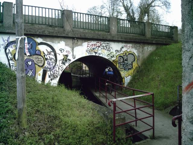 2008-04-13 - linas (04)