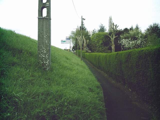 2008-04-13 - linas (06)