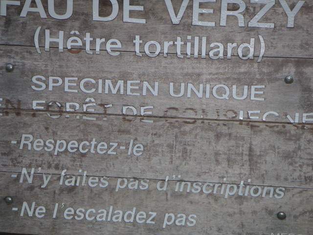 2005-03-28 Compiegne (07)