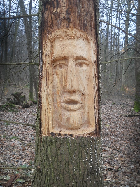 2013-03-10-ozoir-la-ferriere (06)