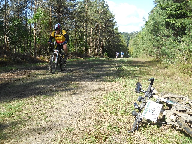 2013-05-11-carrouges (10)