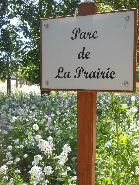2013-06-07-ollainville (13)