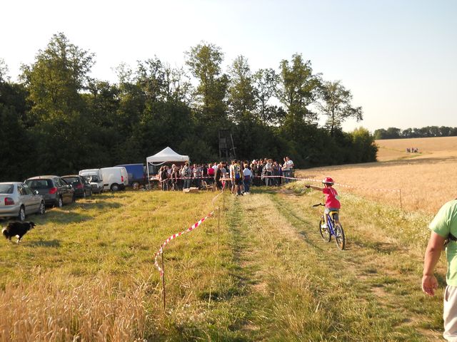 2011-07-02-marche dinatoire (02)