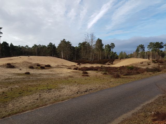 2019-03-17-fontainebleau (04)