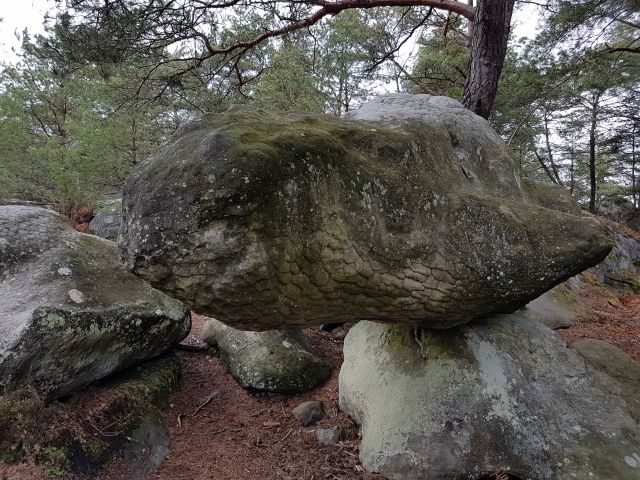 2019-03-17-fontainebleau (15)