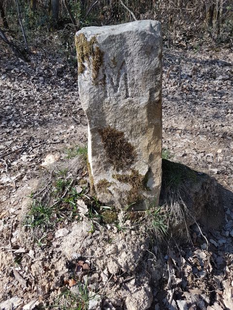 2019-03-31 - villiers-sur-orge (24)