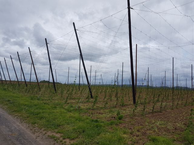 2019-05-11 - schoenenbourg (11)