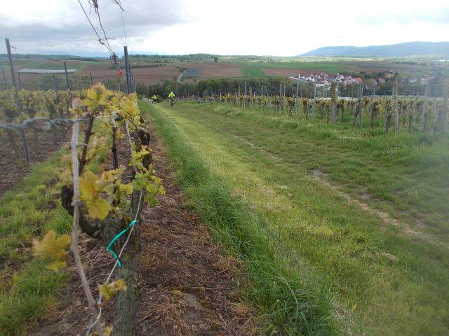 2019-05-11 - schoenenbourg (85)