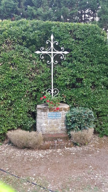 2019-07-27 - bois-de-cene (08)
