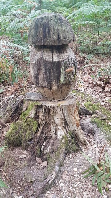 2019-09-01 - rambouillet (11)
