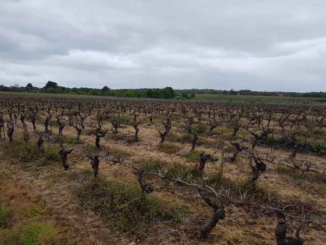 2019-04-28 - rocheserviere (20)