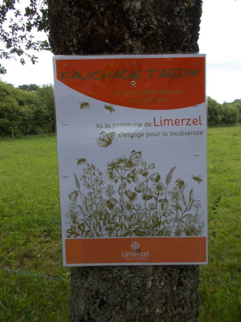 2019-05-30 - questembert (54)