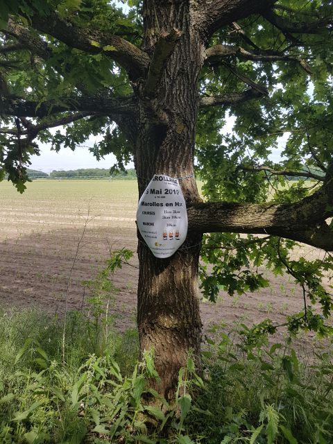 2019-05-22 - boissy-sous-saint-yon (04)