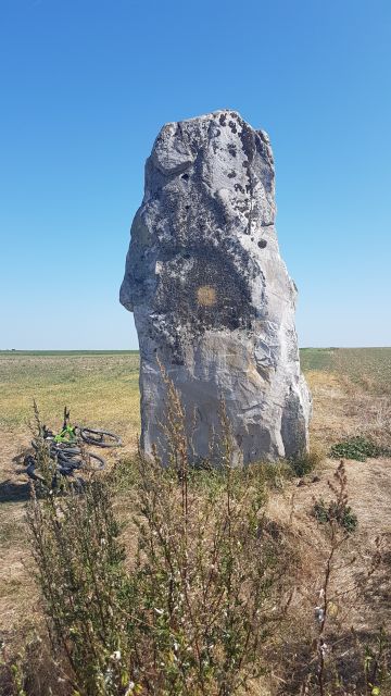 2019-09-21-milly-la-foret (11)
