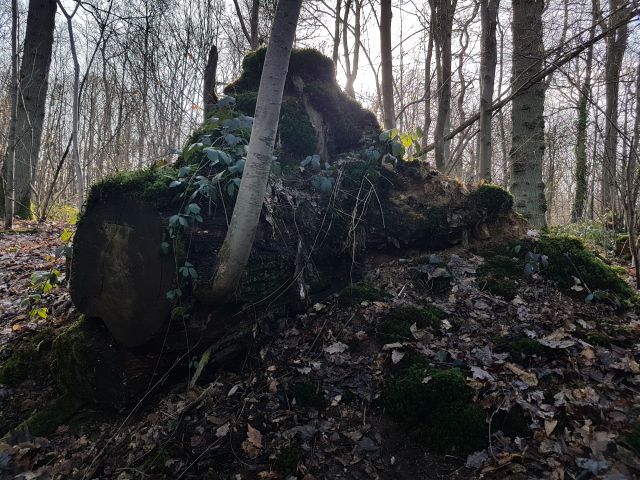 2020-01-19 - velizy-villacoublay (11)