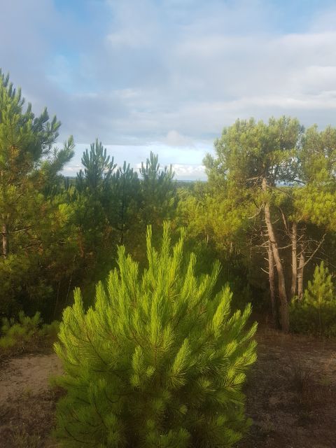 2020-08-18 - bretignolles-sur-mer (06)