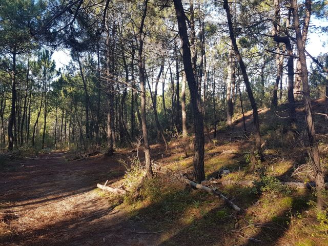 2020-11-22 - saint-jean-de-monts (06)